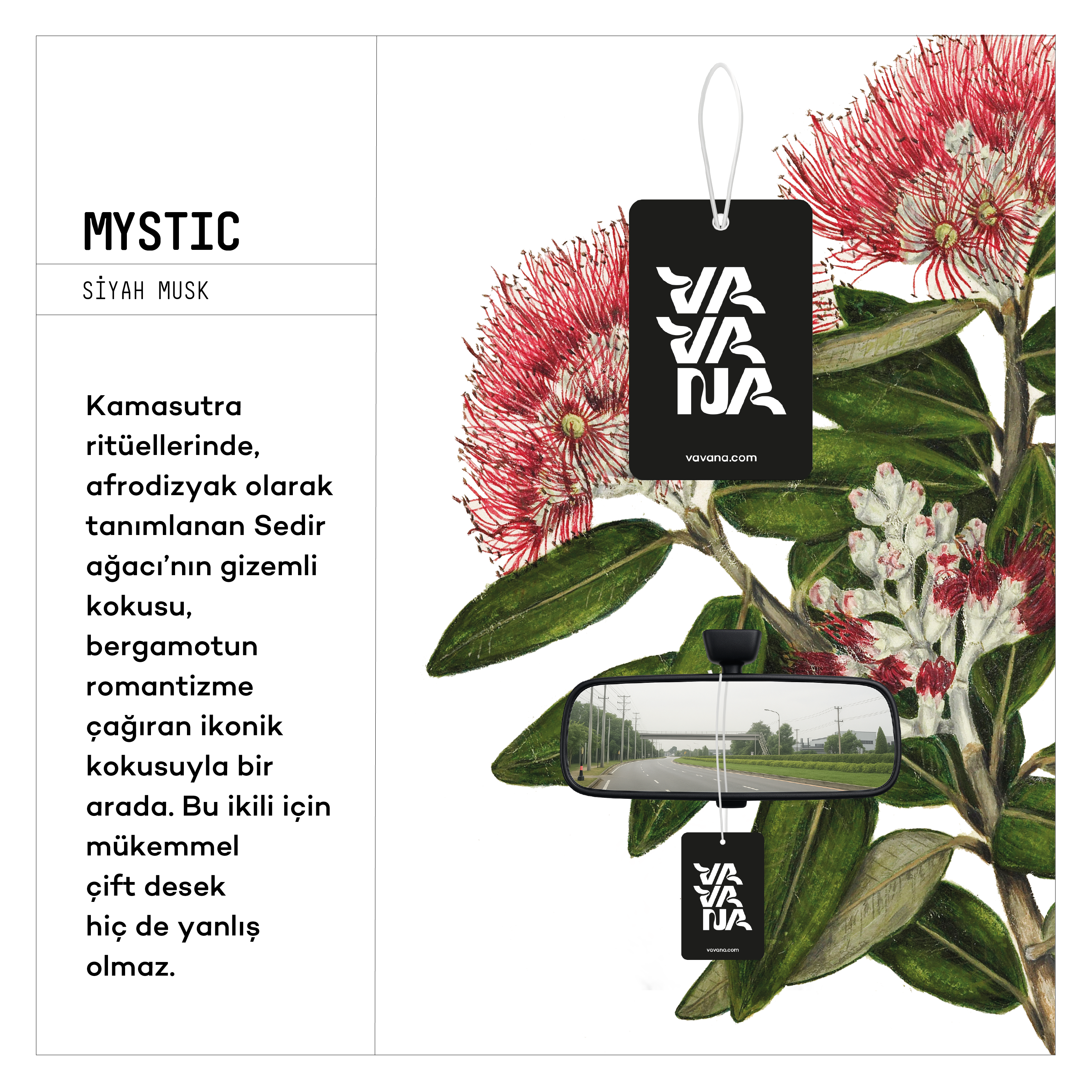 Asma Oto Kokusu - Mystic