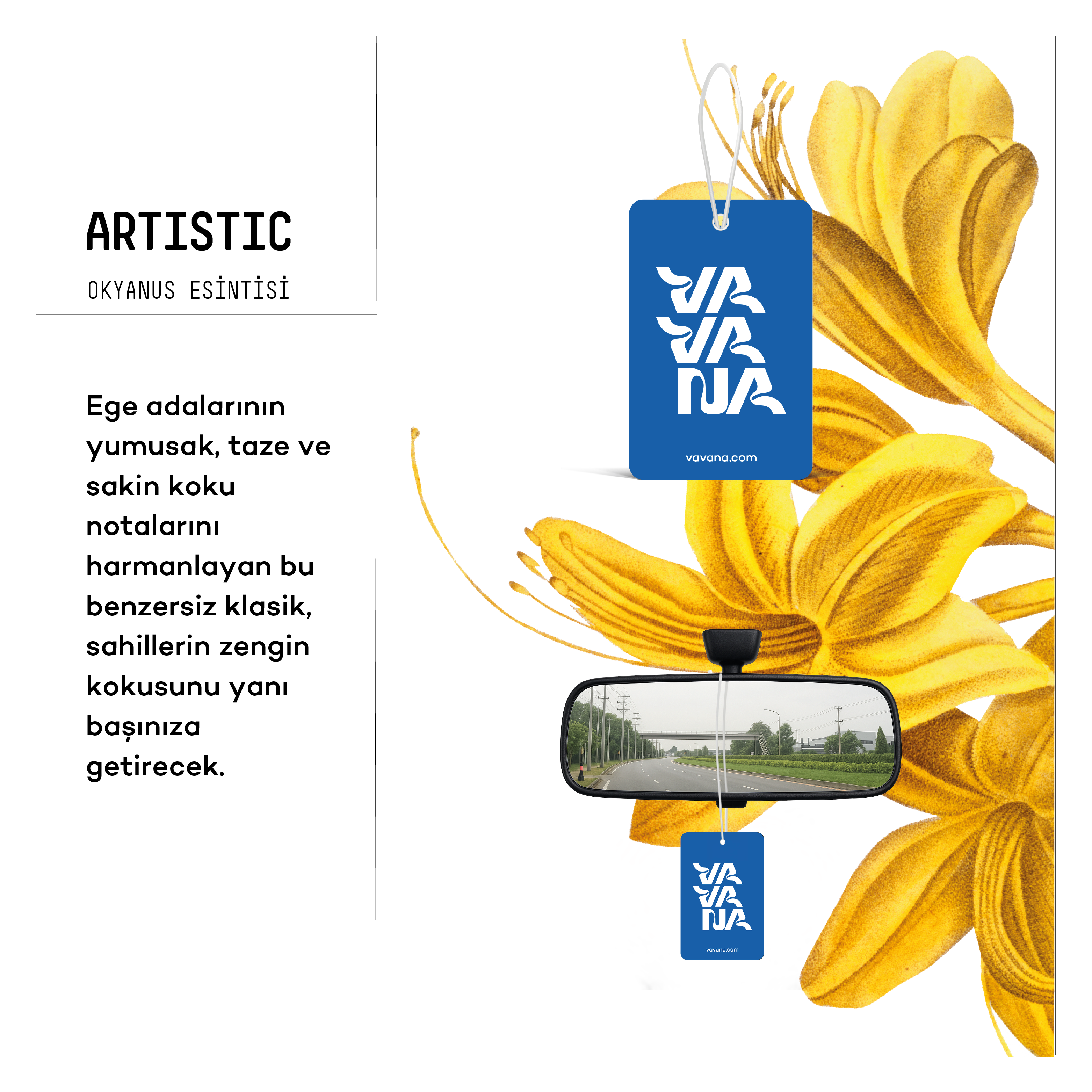 Asma Oto Kokusu - Artistic