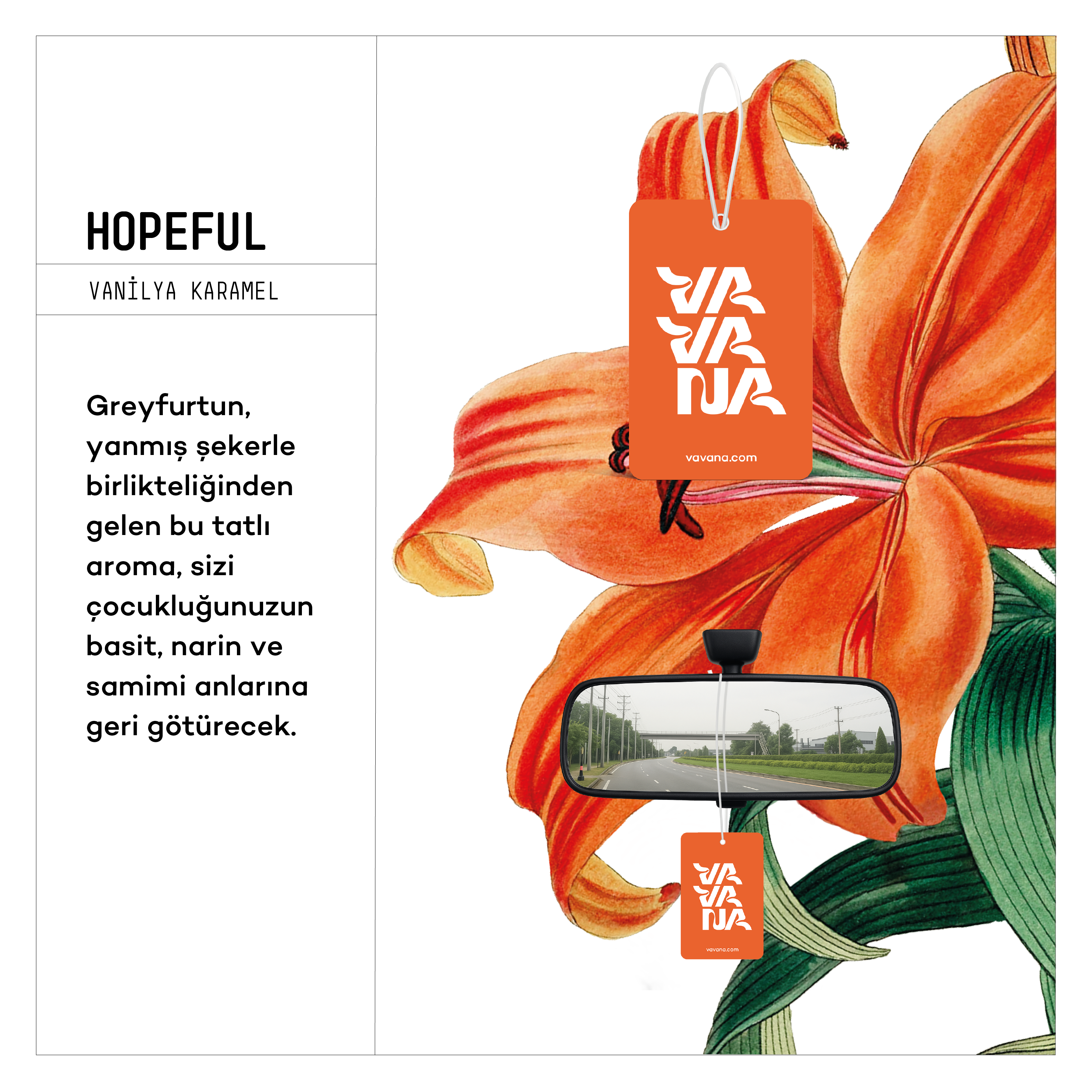 Asma Oto Kokusu - Hopeful