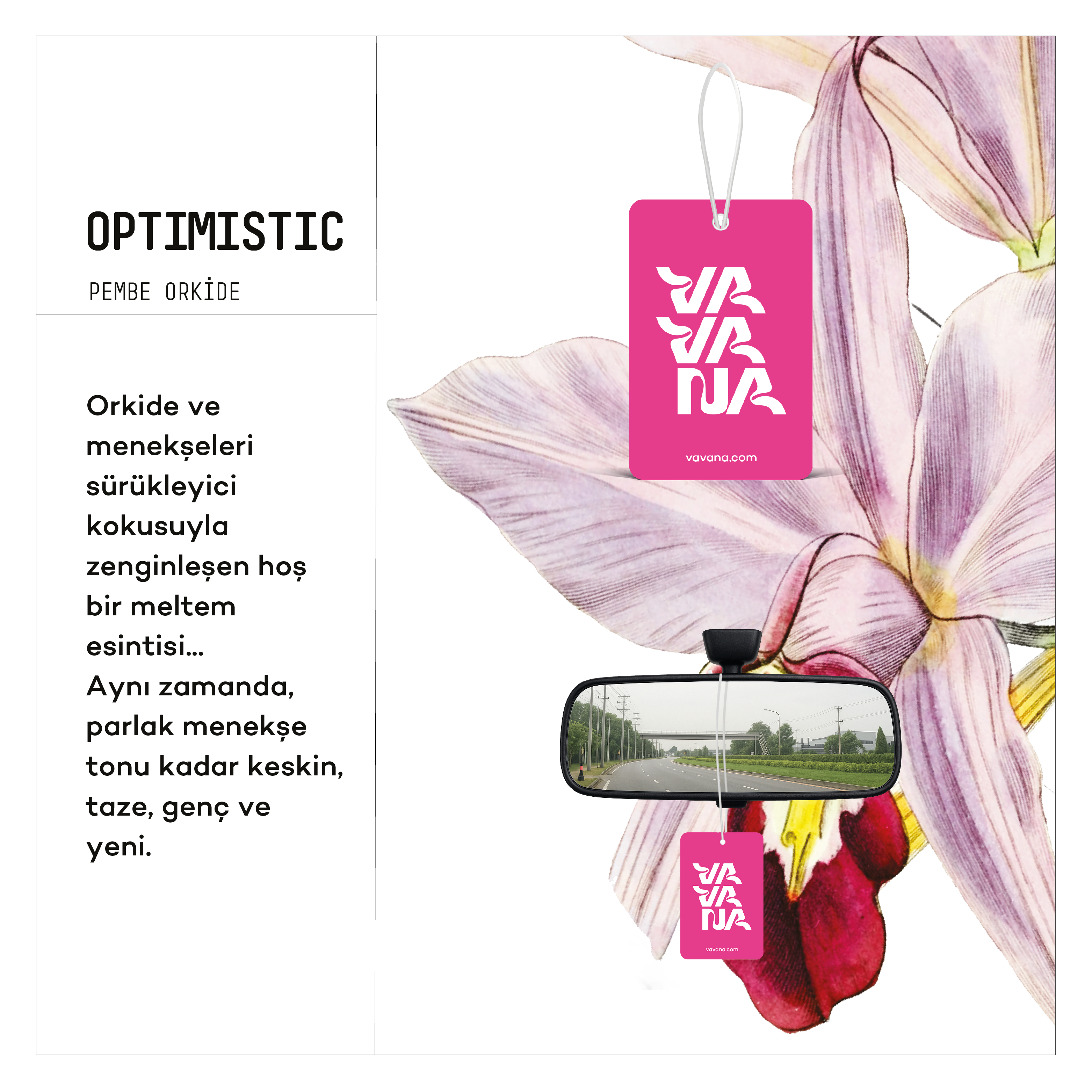 Asma Oto Kokusu - Optimistic