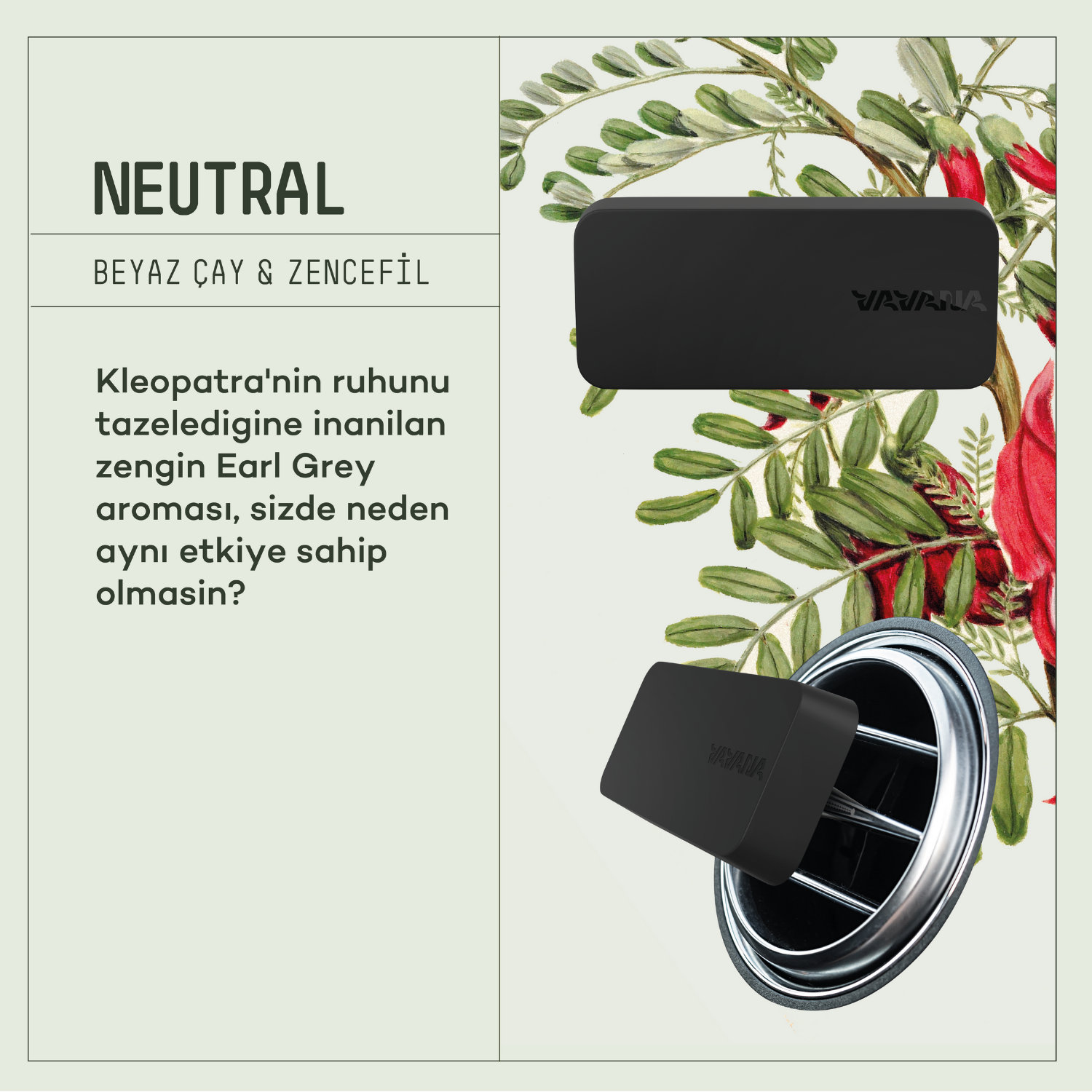 VAVANA Araba Klima Kokusu, Flat Oto Kokusu - Neutral