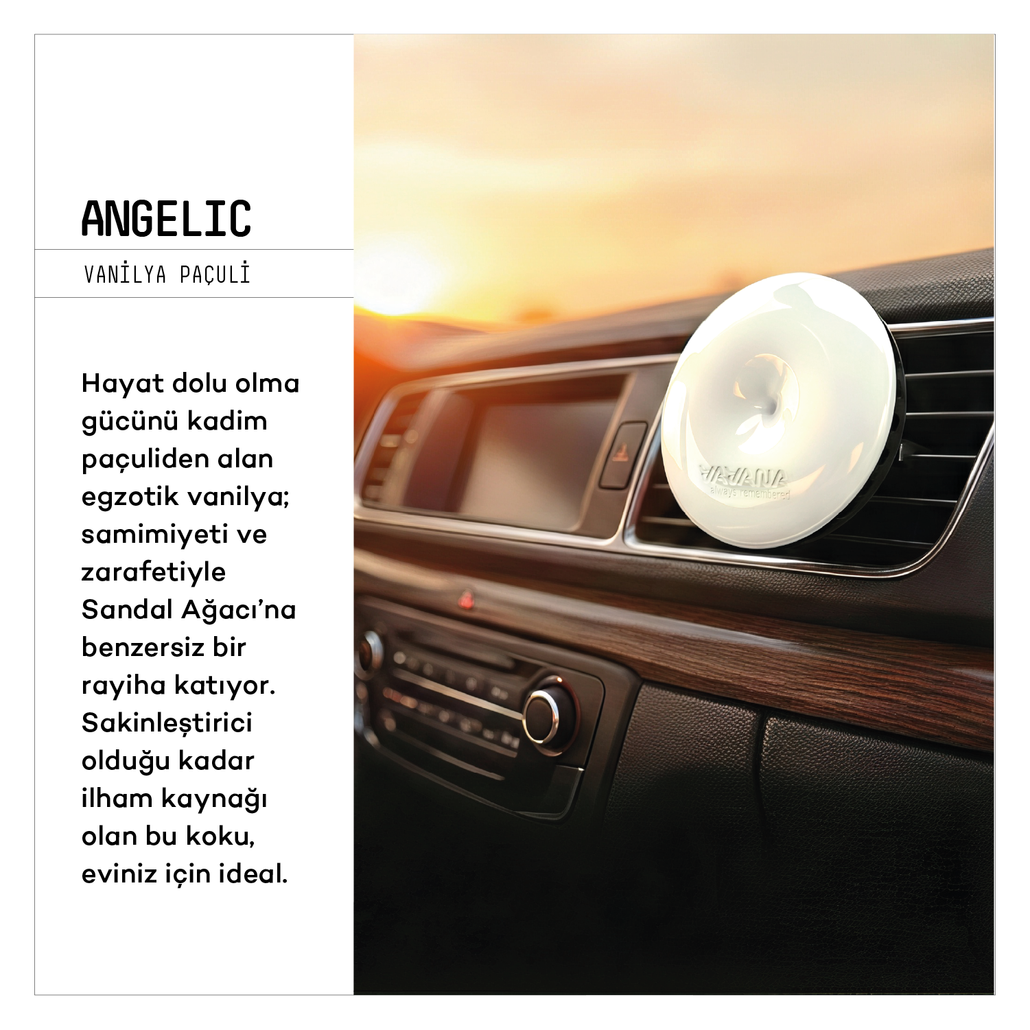 Spin Oto Kokusu - Angelic