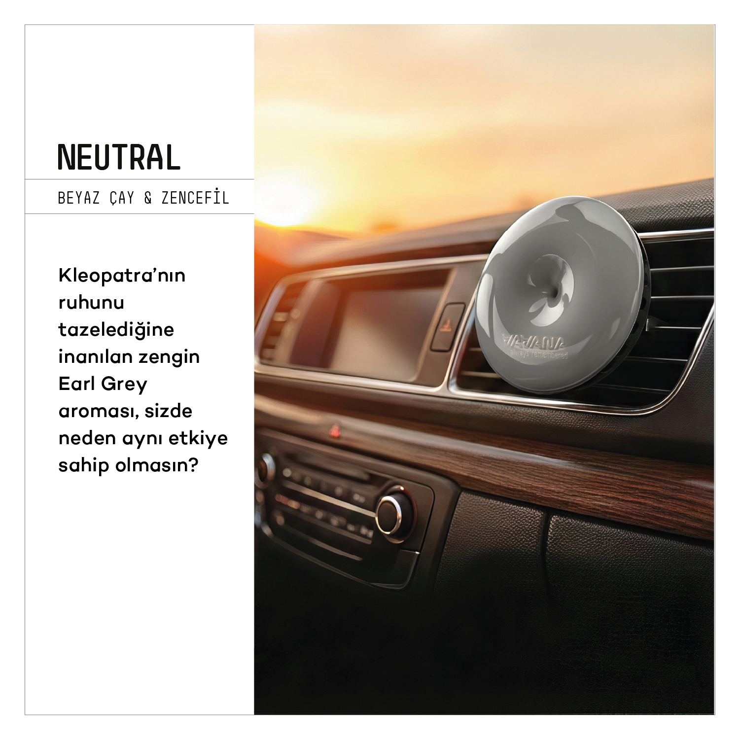 Spin Oto Kokusu 3'lü Set - Neutral | Angelic | Relaxed