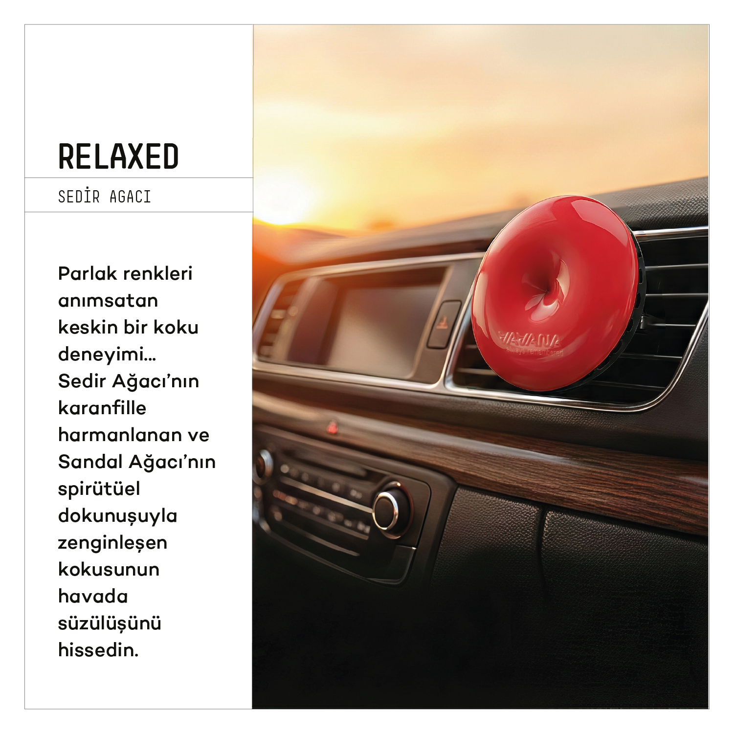 Spin Oto Kokusu 3'lü Set - Relaxed | Angelic | Optimistic