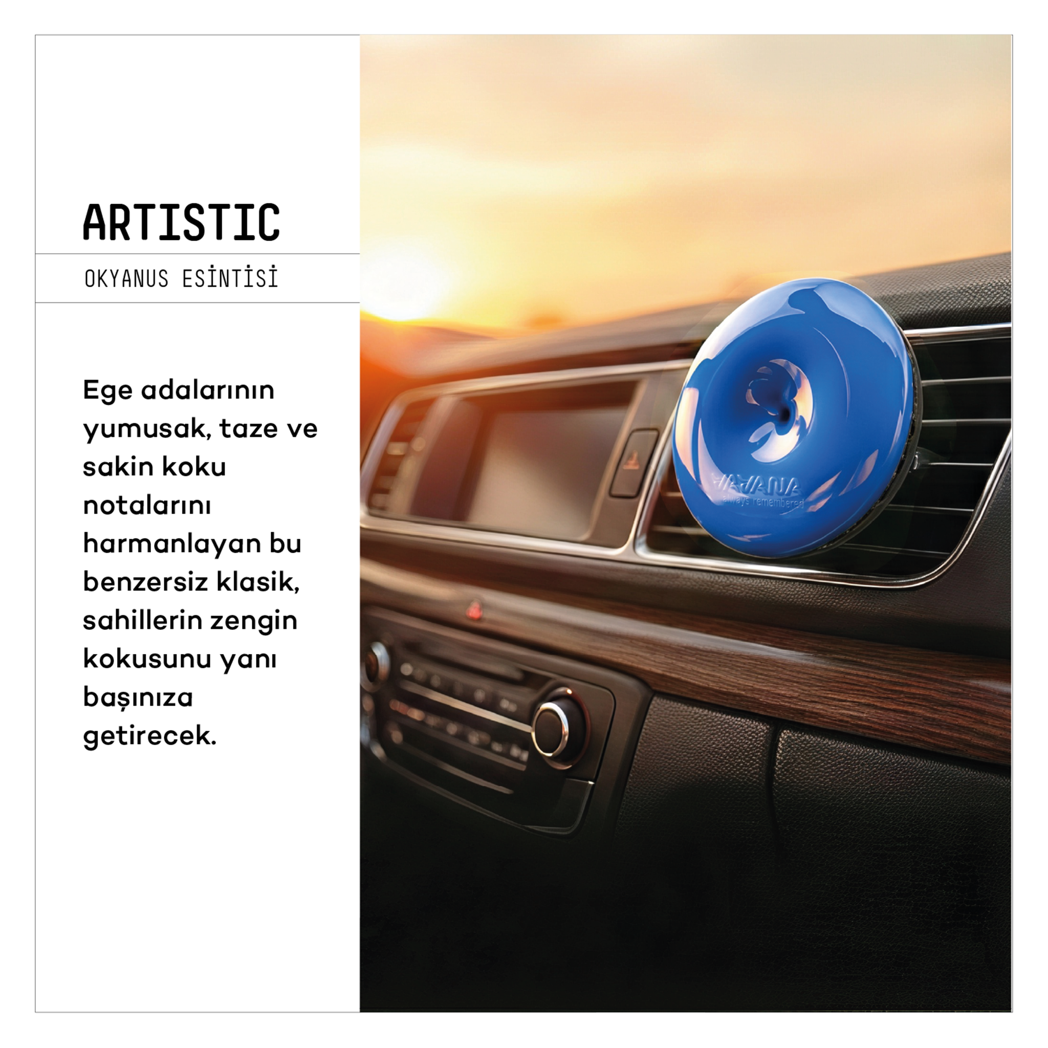 Spin Oto Kokusu - Artistic