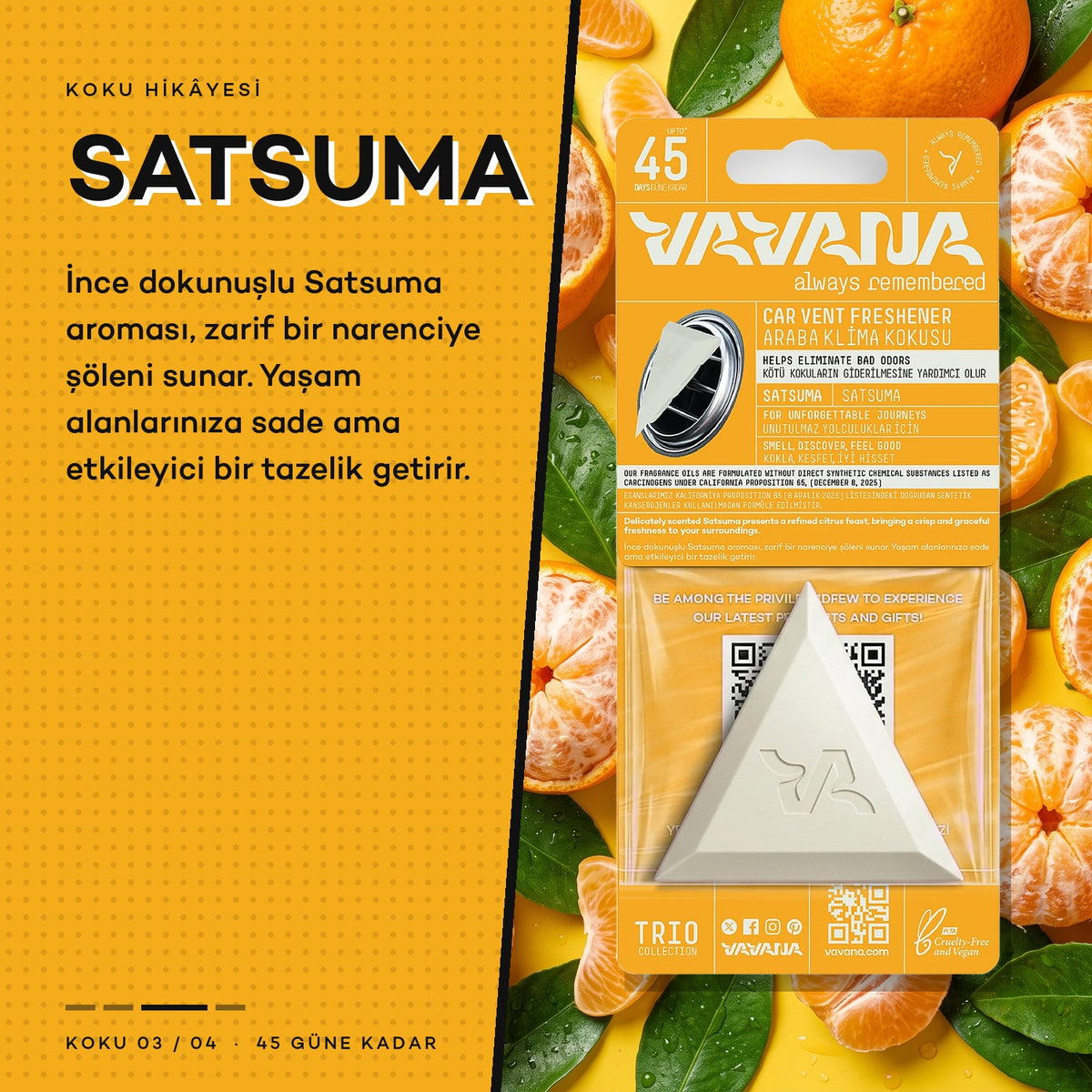Satsuma koku hikâyesi
