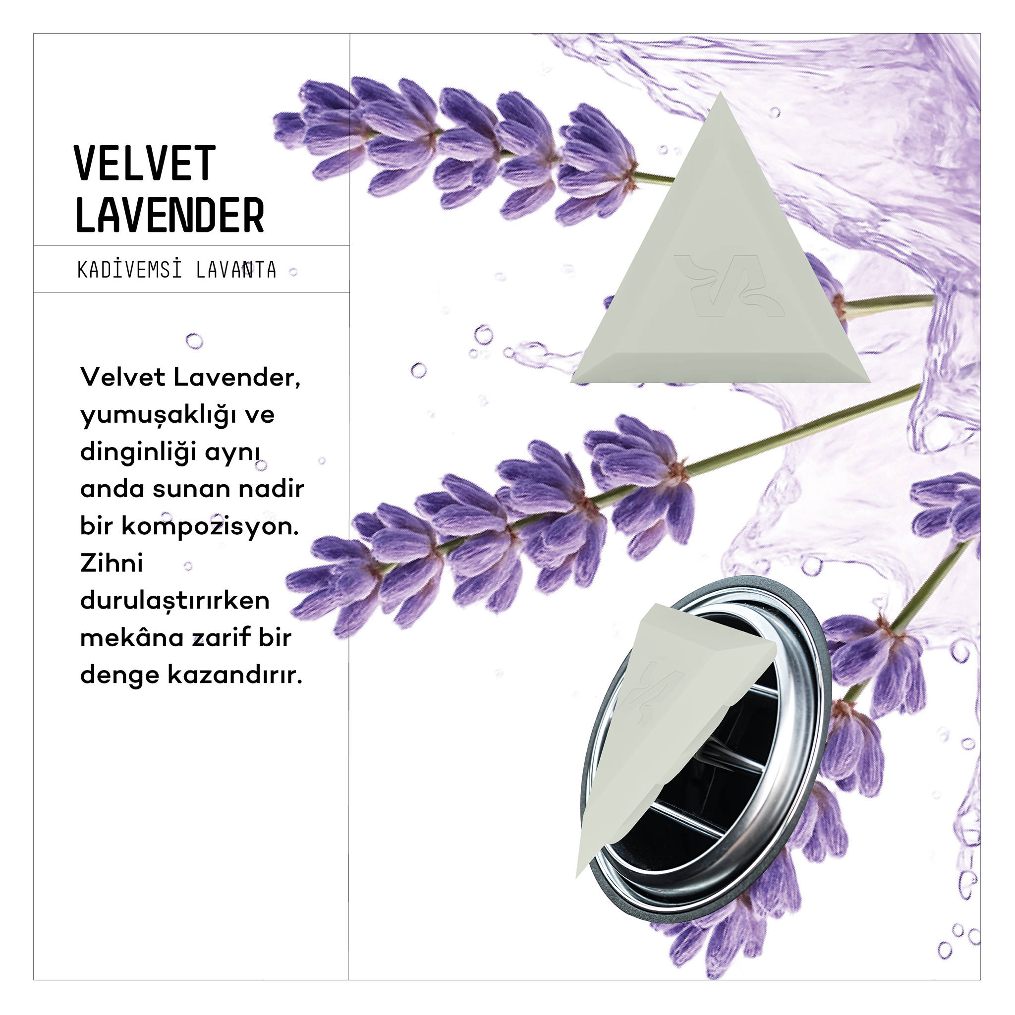 Trio Oto Kokusu - Kadifemsi Lavanta