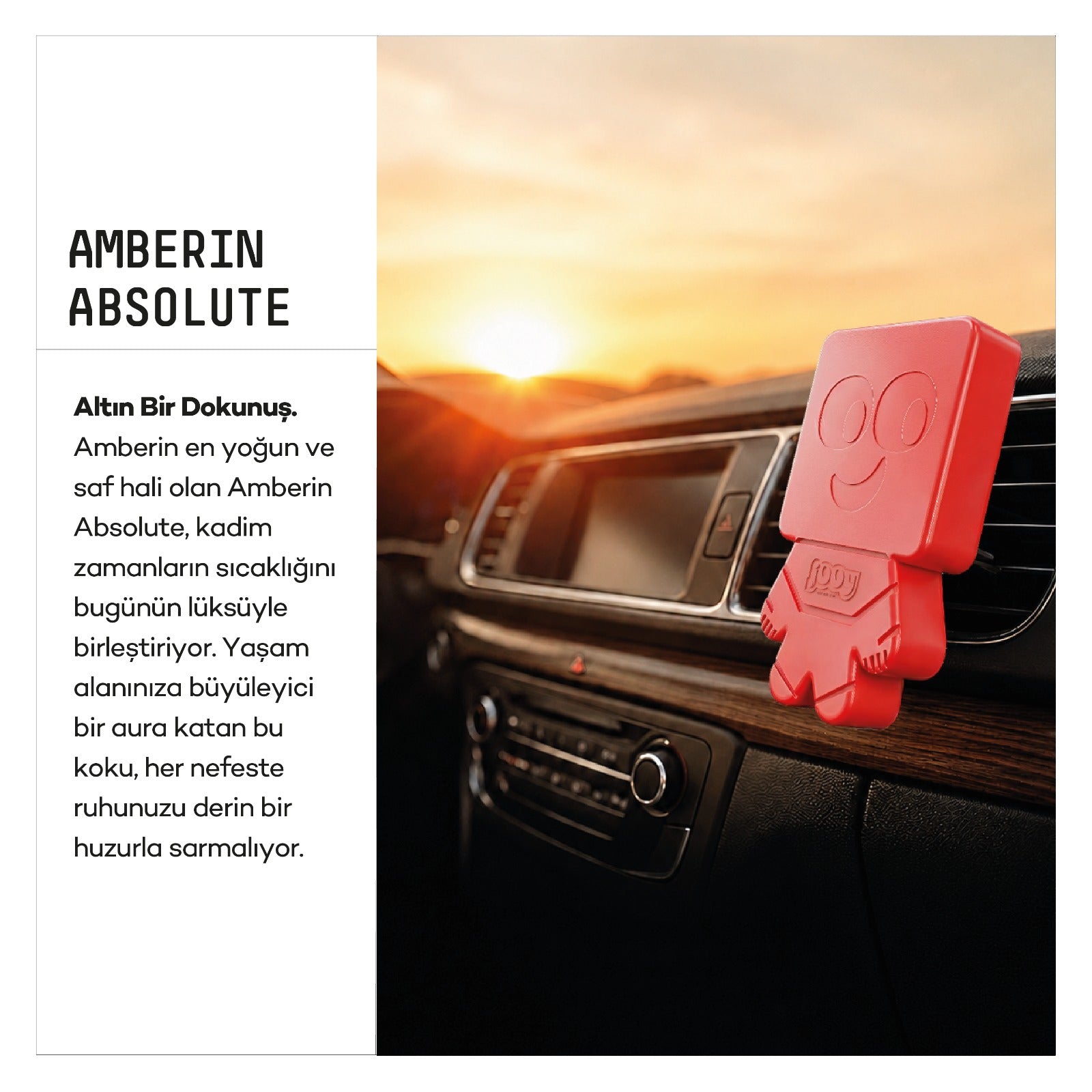 Jooy Araba Kokusu - Amberin Absolute