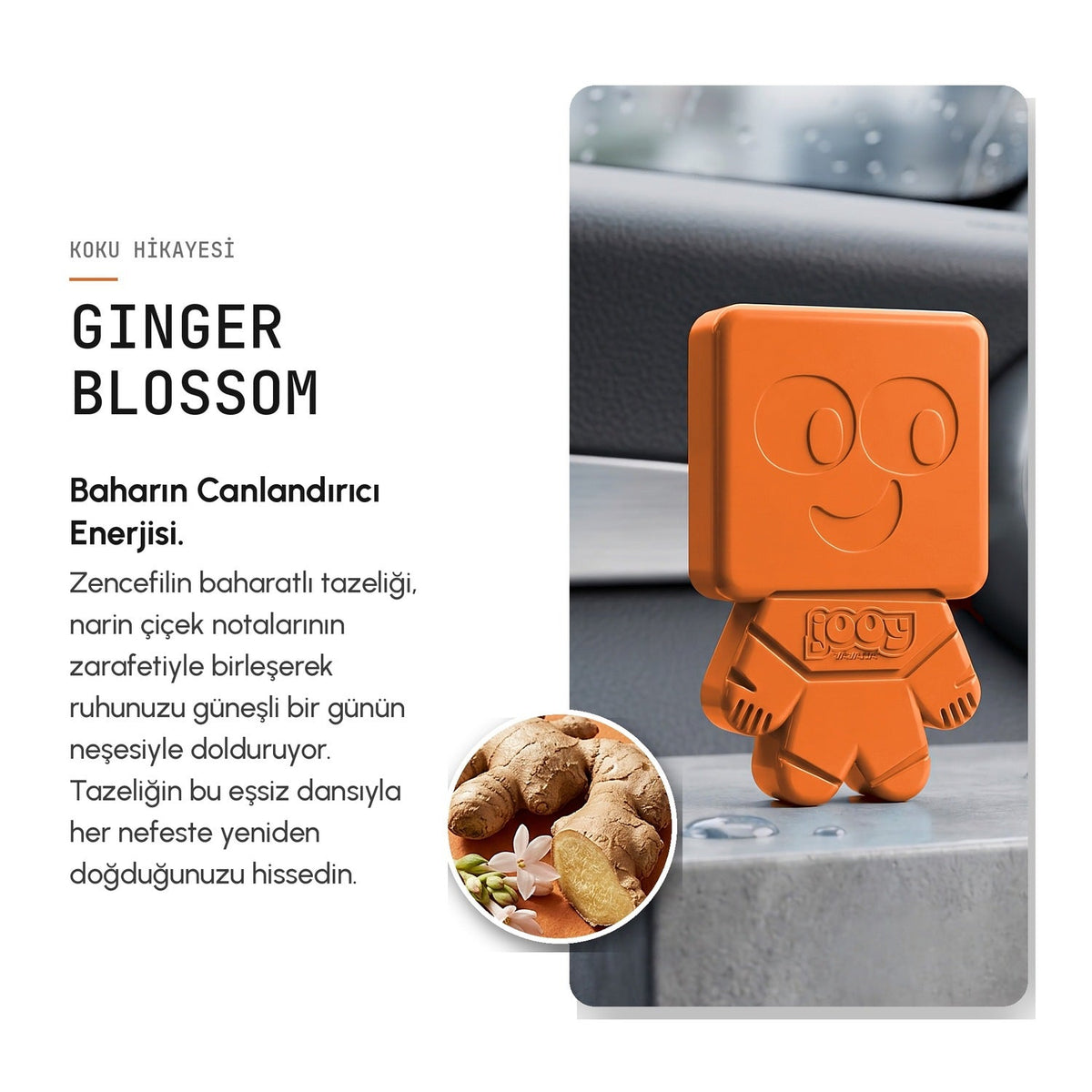 Jooy Araba Kokusu 6'lı Set - Ginger Blossom