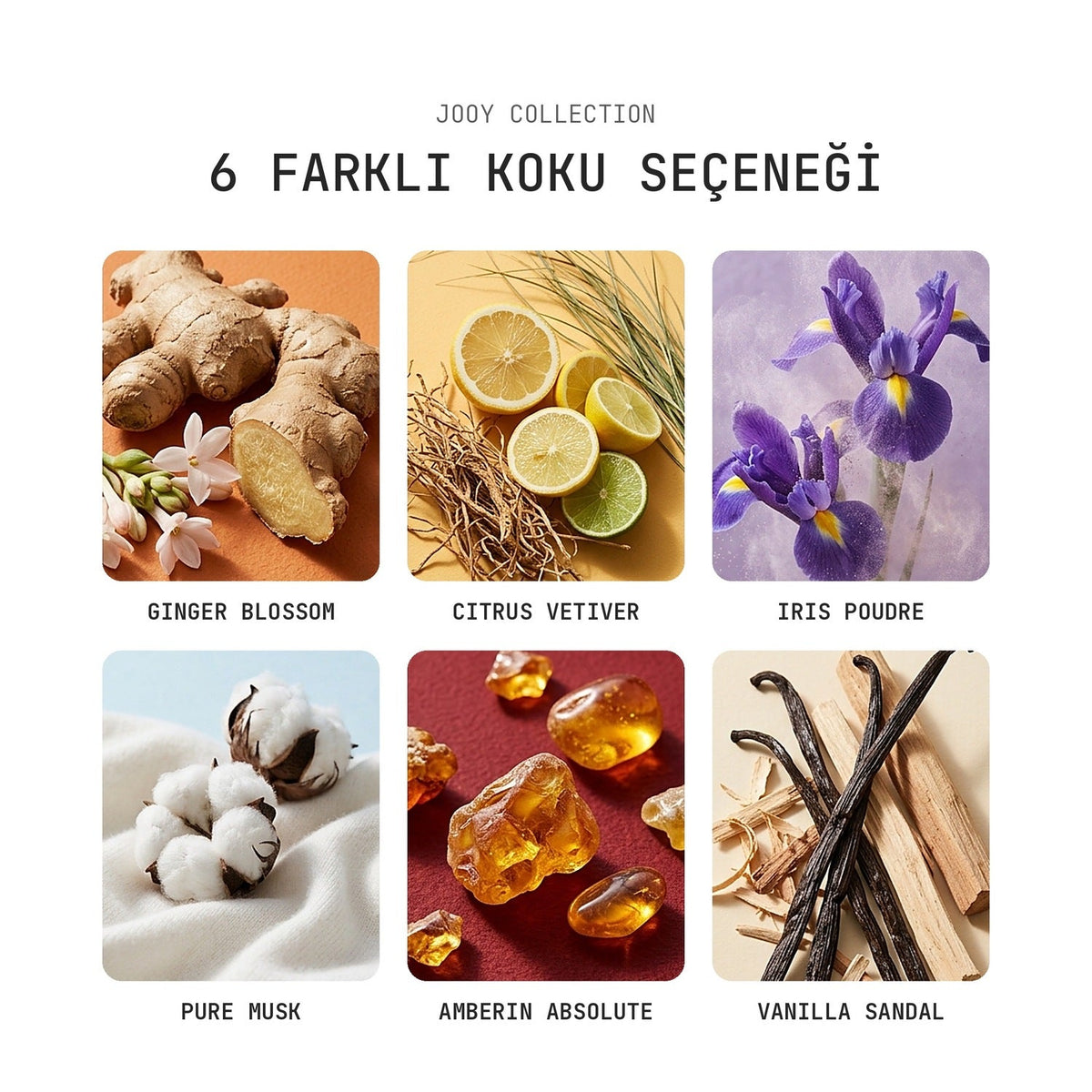 Jooy Araba Kokusu 6'lı Set - Ginger Blossom