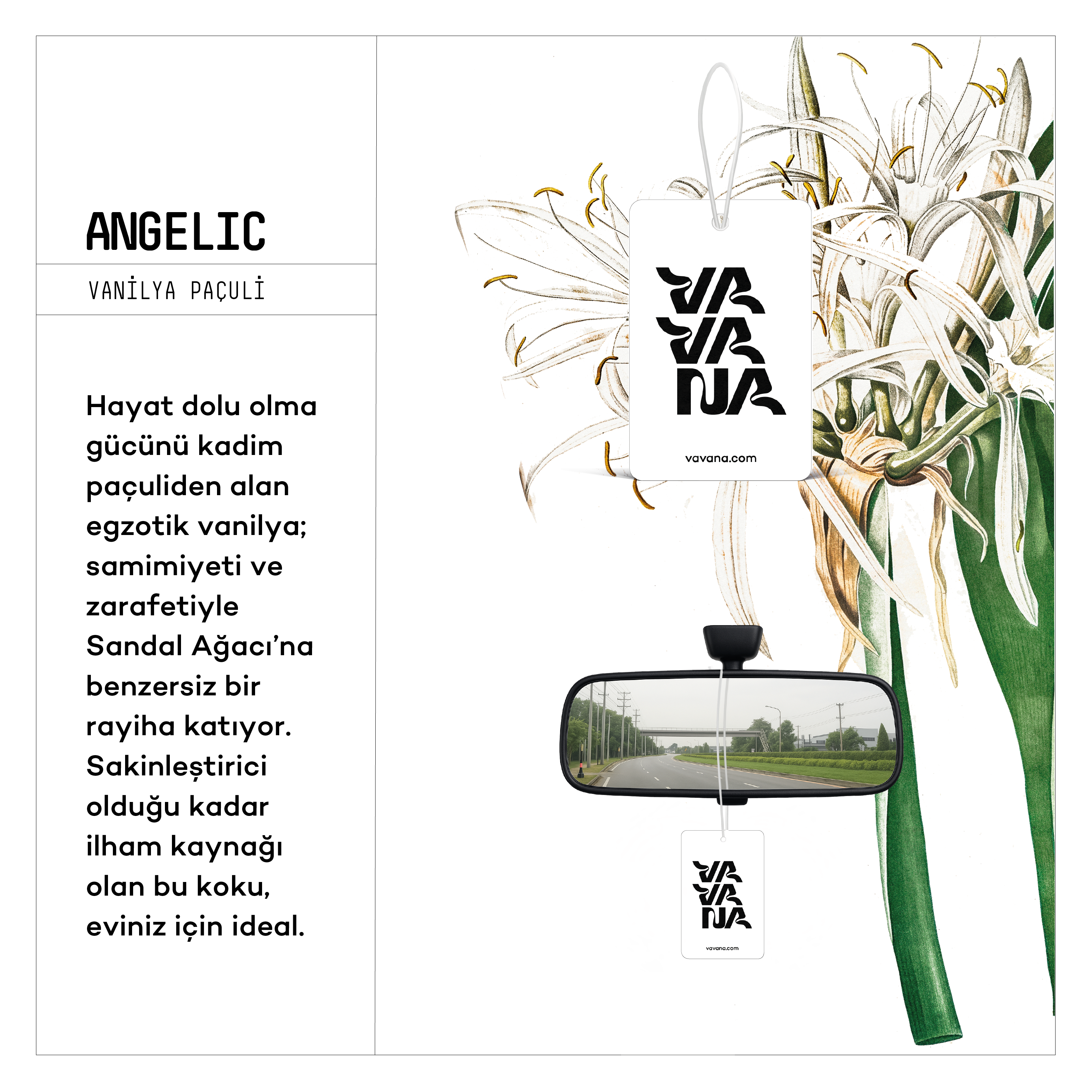 Asma Oto Kokusu - Angelic