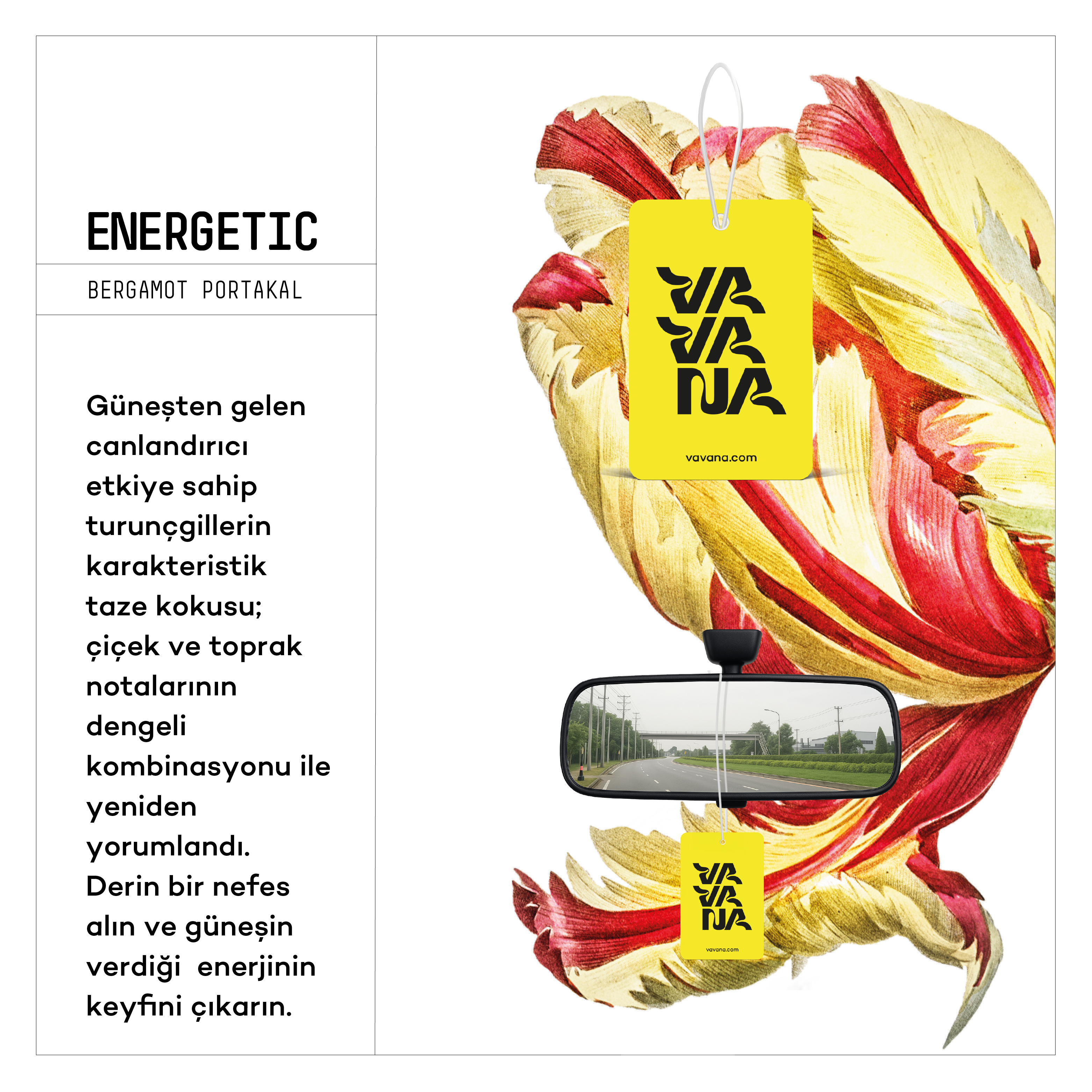 Asma Oto Kokusu - Energetic