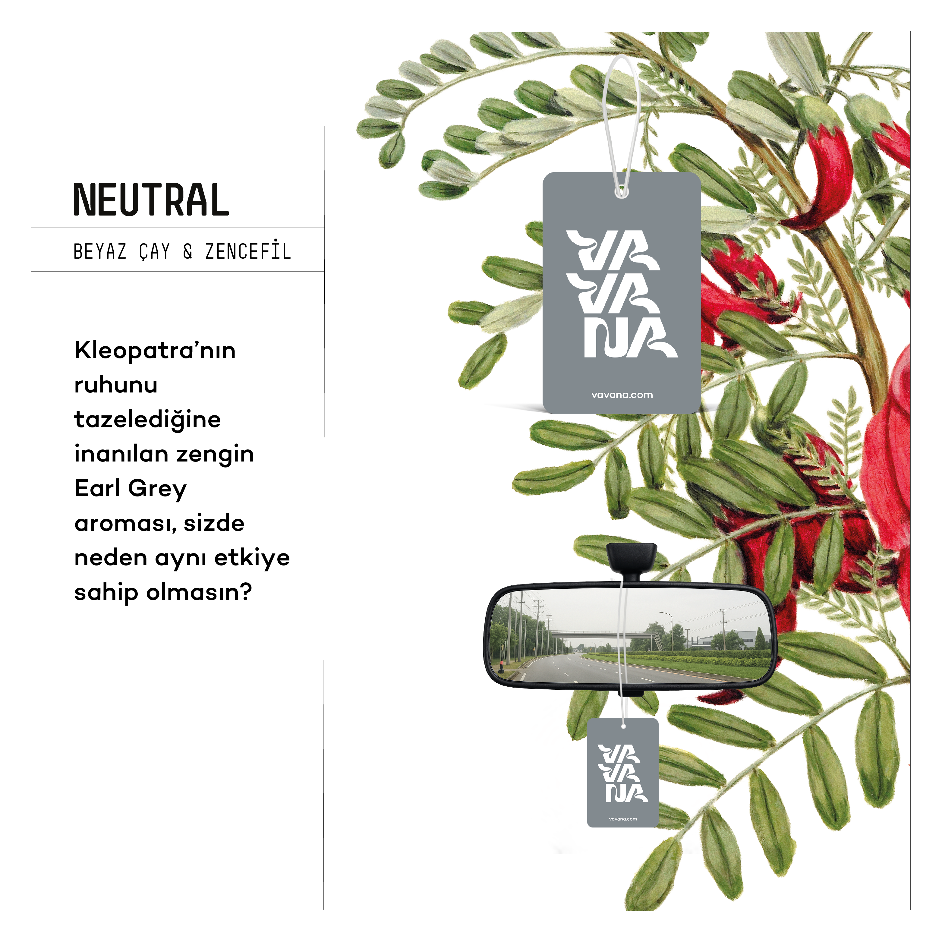 Asma Oto Kokusu - Neutral