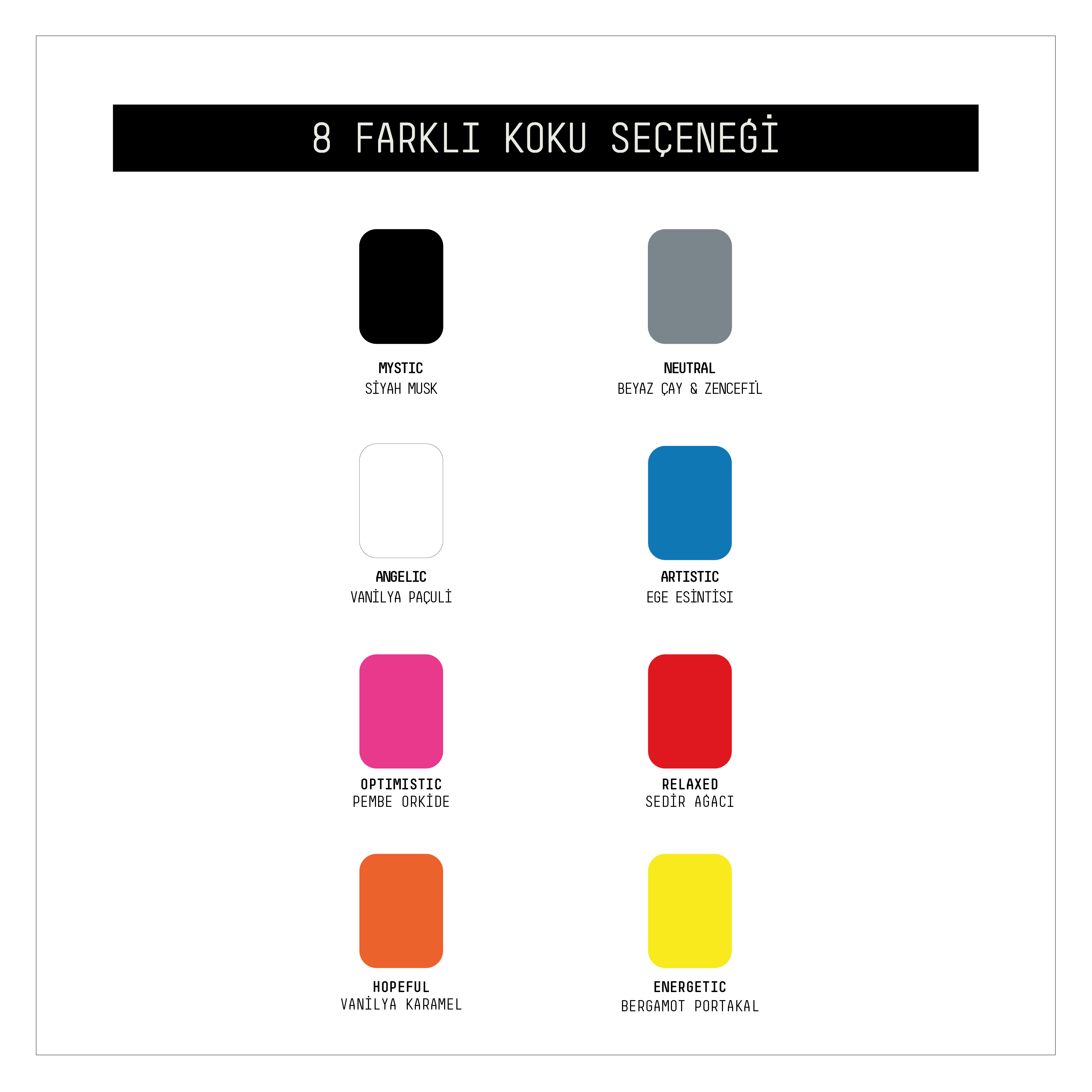 Asma Oto Kokusu 3'lü Set - Artistic