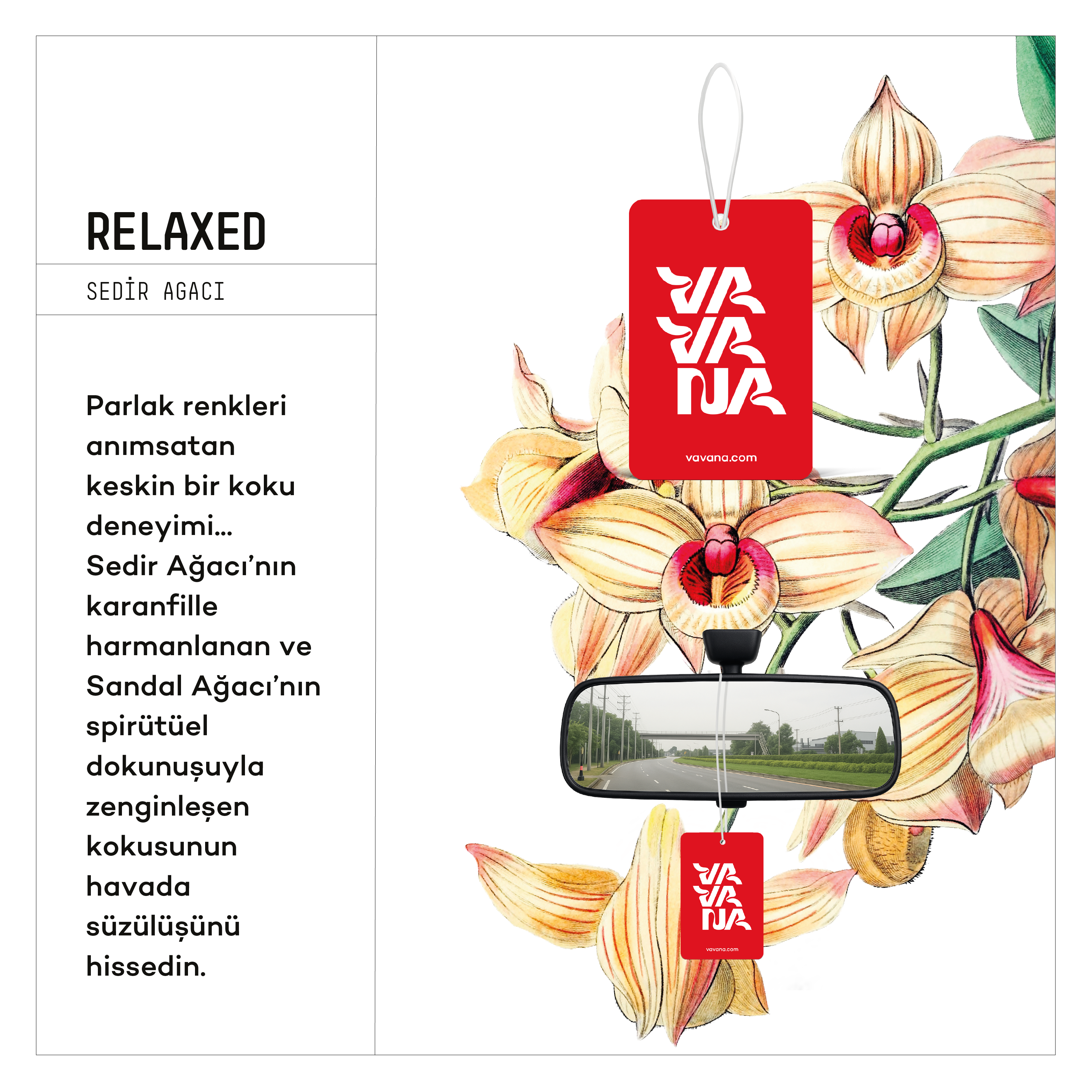 Asma Oto Kokusu - Relaxed