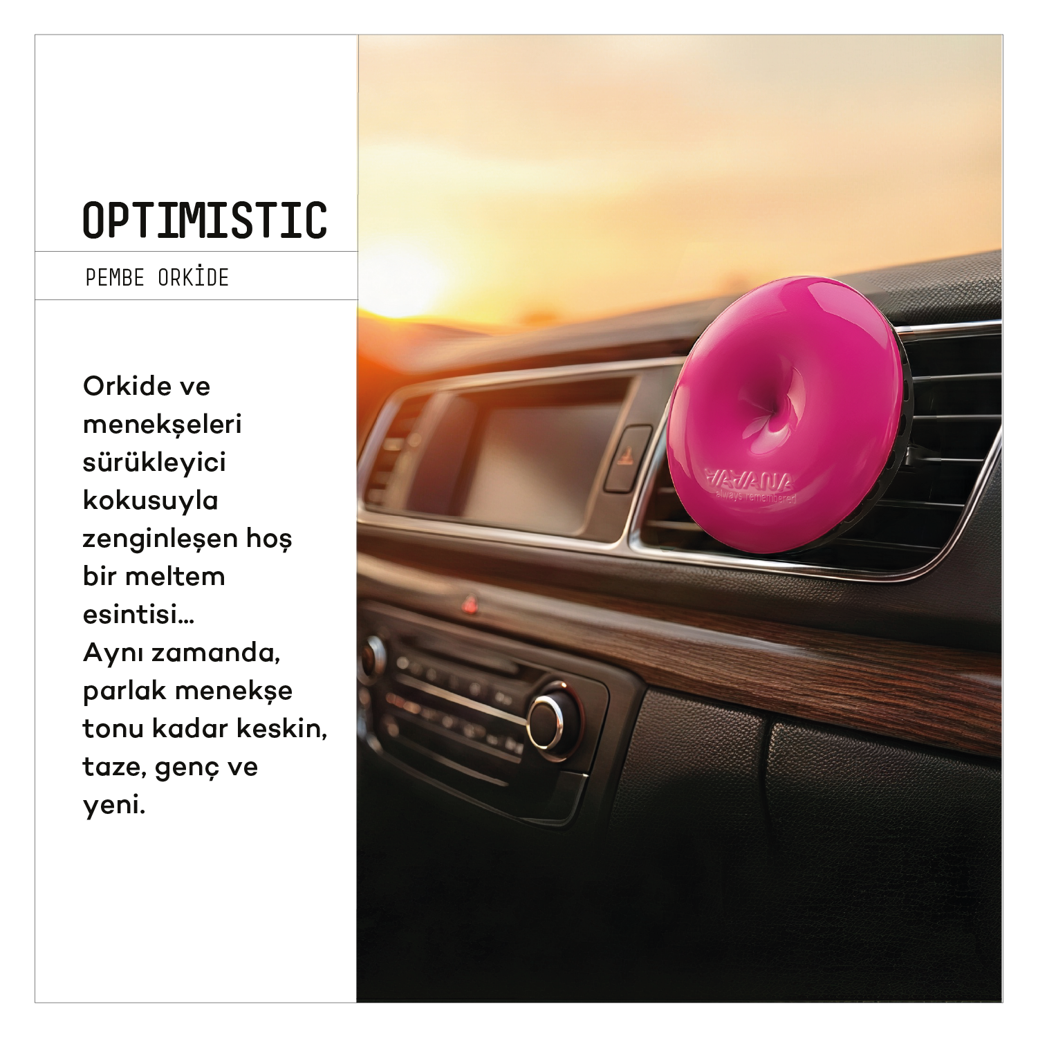 Spin Oto Kokusu 3'lü Set - Optimistic