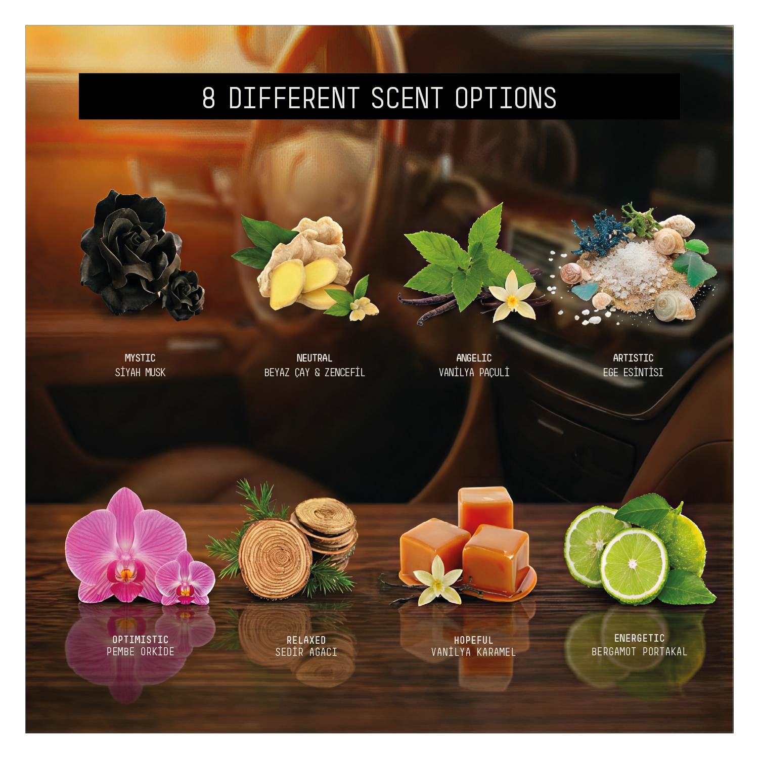 Spin Oto Kokusu - Energetic