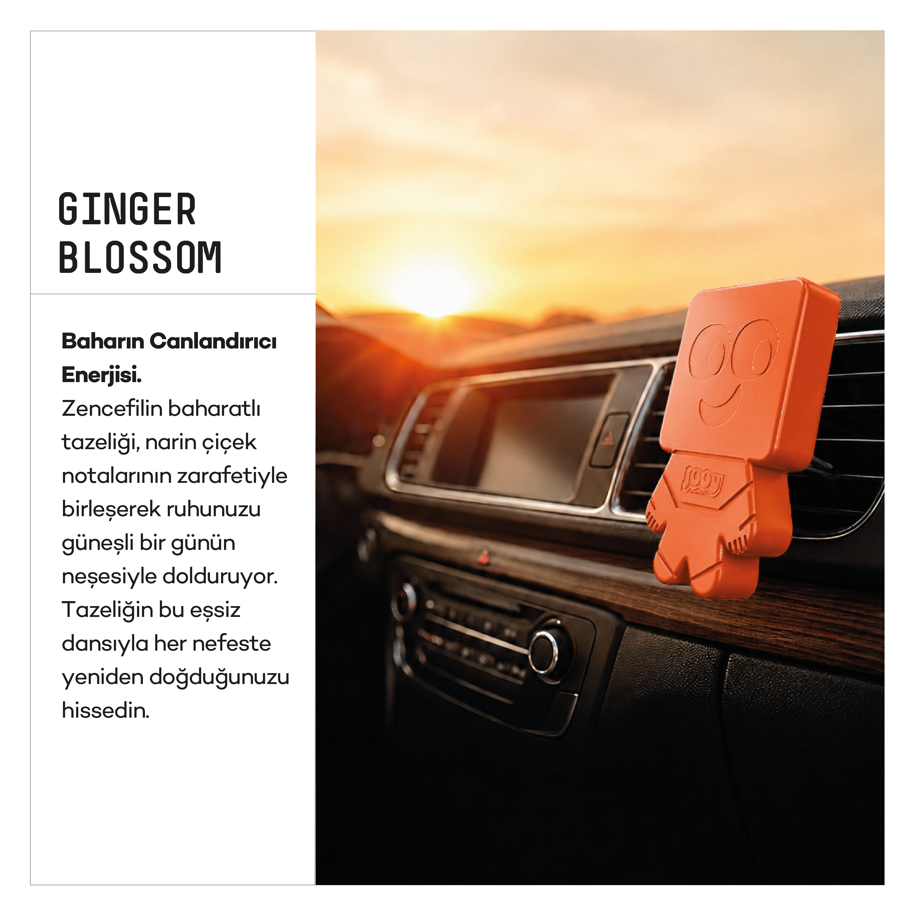 Jooy Araba Kokusu - Ginger Blossom